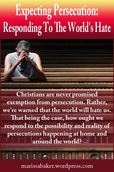 click to read article, "Expecting Persecution: Responding To The World's Hate" | marissabaker.wordpress.com