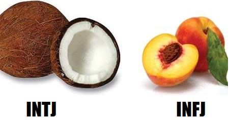 Thinking vs. Feeling in INxJ Personality Types" | marissabaker.wordpress.com