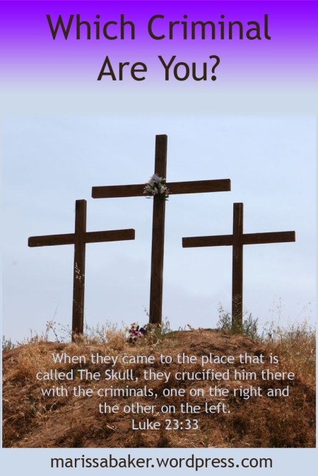 Which Criminal Are You? | marissabaker.wordpress.com