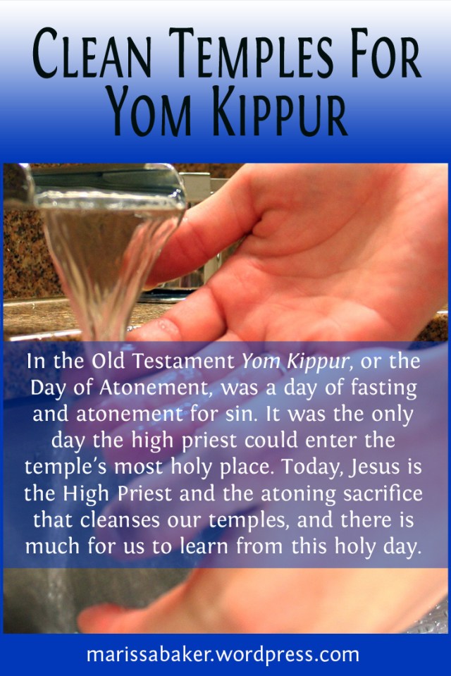 Clean Temples For Yom Kippur | marissabaker.wordpress.com