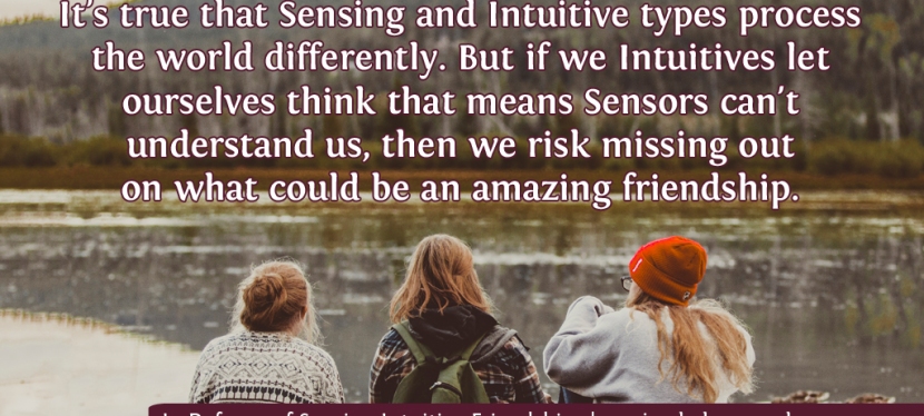 In Defense of Sensing-Intuitive Friendships