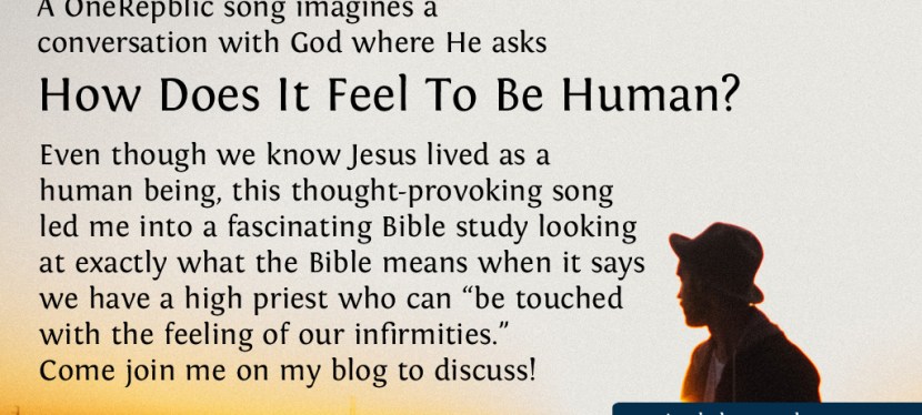 How Does It Feel To Be&nbsp;Human?