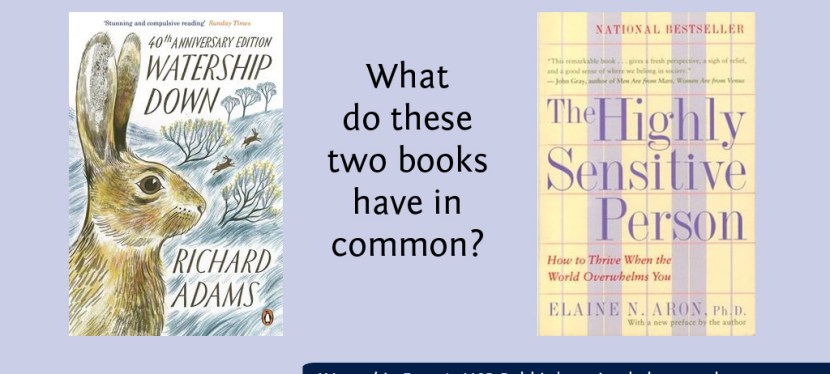 Watership Down’s HSP&nbsp;Rabbit