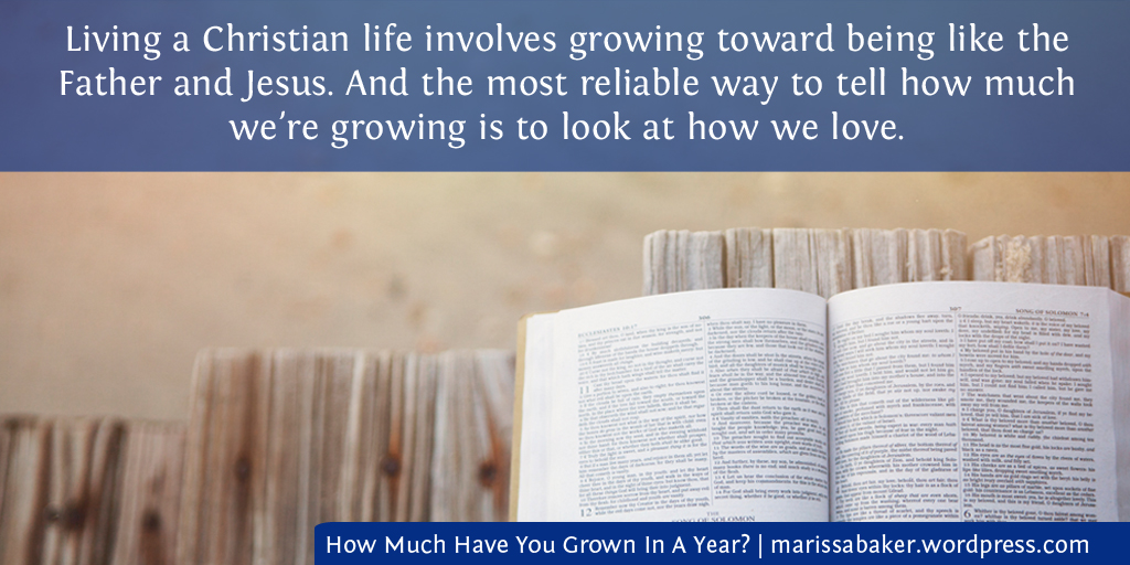 How Much Have You Grown In A Year? | marissabaker.wordpress.com