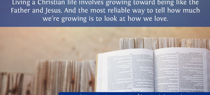 How Much Have You Grown In A Year?