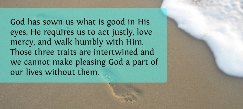 Make Pleasing God Your Lifestyle By Desiring What He Requires