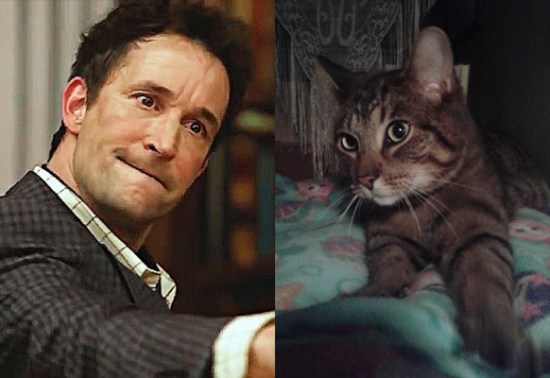 Lessons From My Nervous Cat | marissabaker.wordpress.com