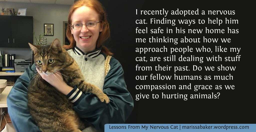 Lessons From My Nervous Cat | marissabaker.wordpress.com