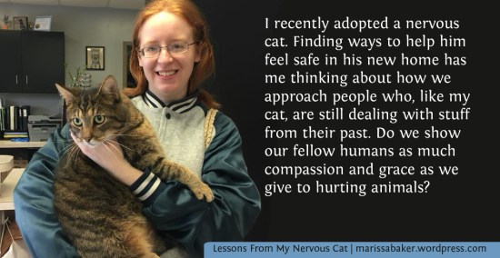 Lessons From My Nervous Cat | marissabaker.wordpress.com