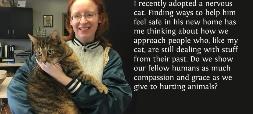 Lessons From My Nervous Cat