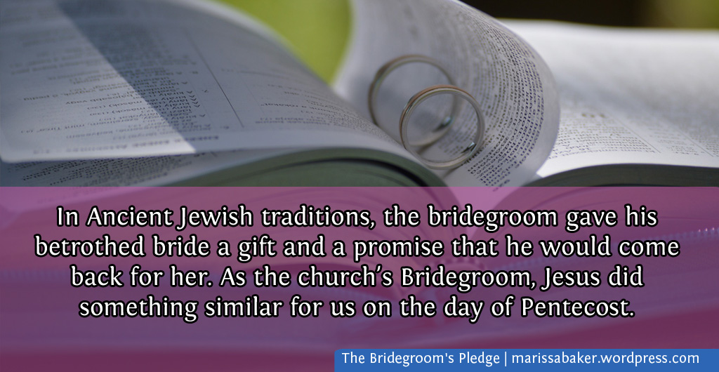 The Bridegroom's Pledge | marissabaker.wordpress.com