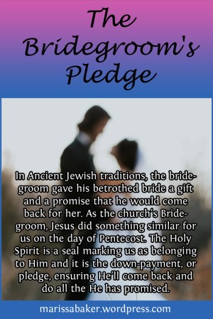The Bridegroom's Pledge | marissabaker.wordpress.com