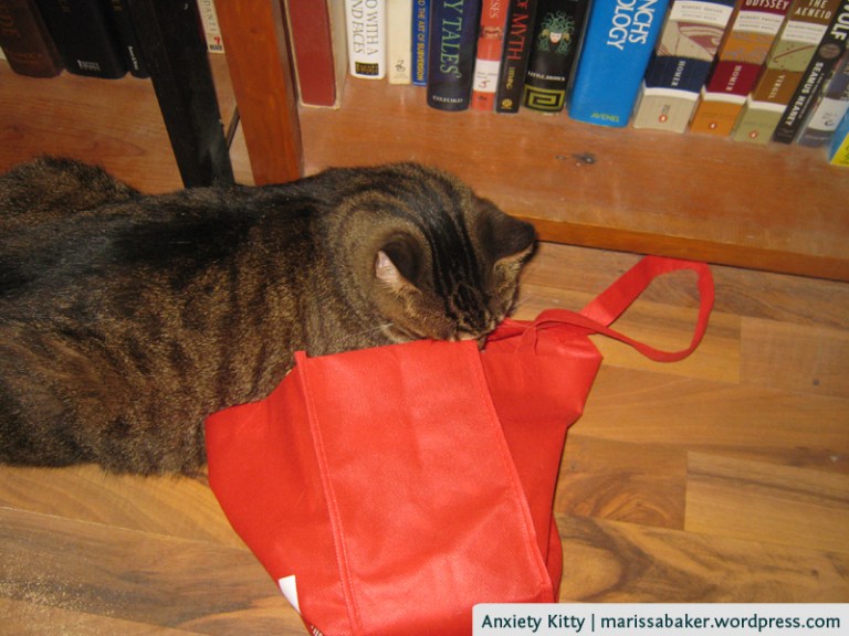 Anxiety Kitty | marissabaker.wordpress.com