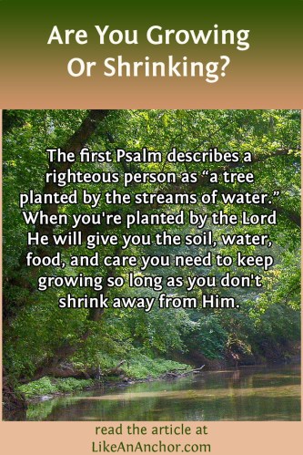 Are You Growing Or Shrinking? | LikeAnAnchor.com