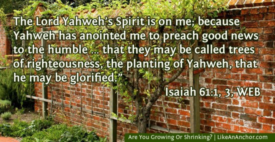 Are You Growing Or Shrinking? | LikeAnAnchor.com