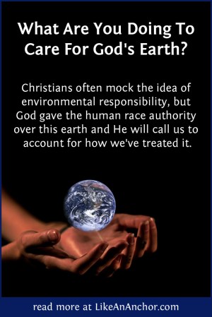 Why Aren't There More Christian Environmentalists? | LikeAnAnchor.com