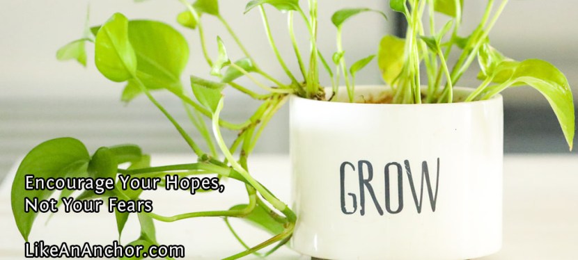 Encourage Your Hopes, Not Your Fears