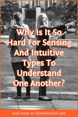 Why Is It So Hard For Sensing And Intuitive Types To Understand One Another? | LikeAnAnchor.com