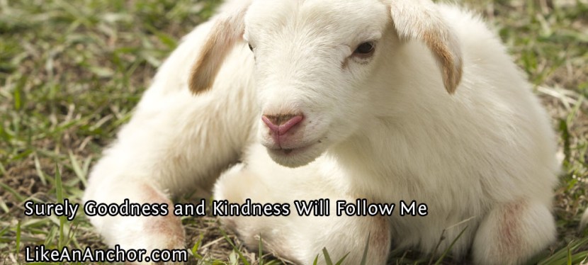 Surely Goodness and Kindness Will Follow Me