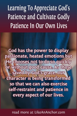 Learning To Appreciate God's Patience and Cultivate Godly Patience In Our Own Lives | LikeAnAnchor.com