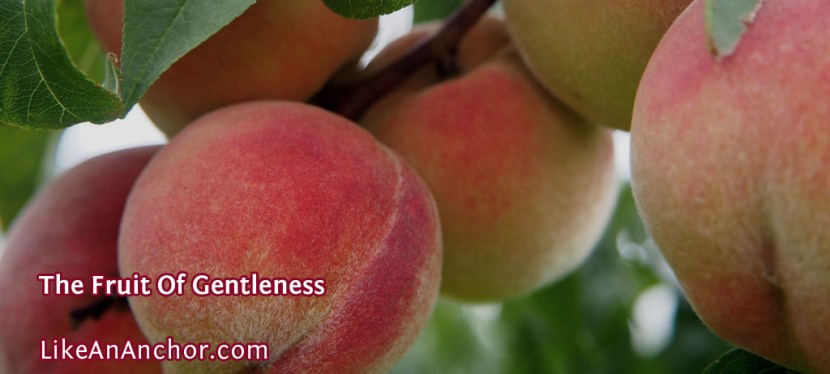 The Fruit Of Gentleness