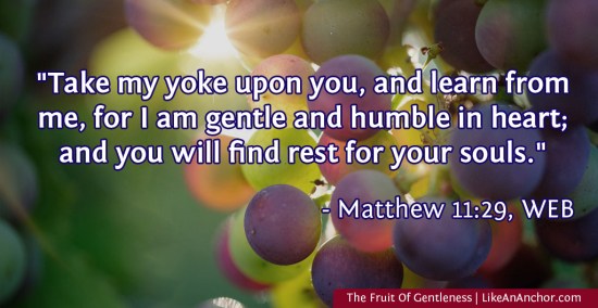 The Fruit Of Gentleness | LikeAnAnchor.com