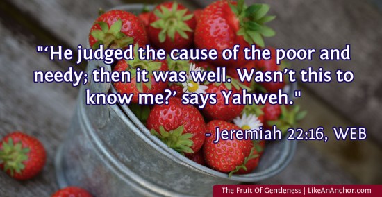 The Fruit Of Gentleness | LikeAnAnchor.com