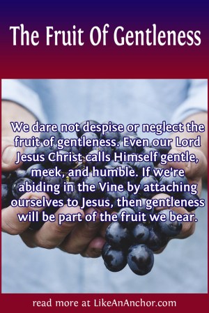 The Fruit Of Gentleness | LikeAnAnchor.com