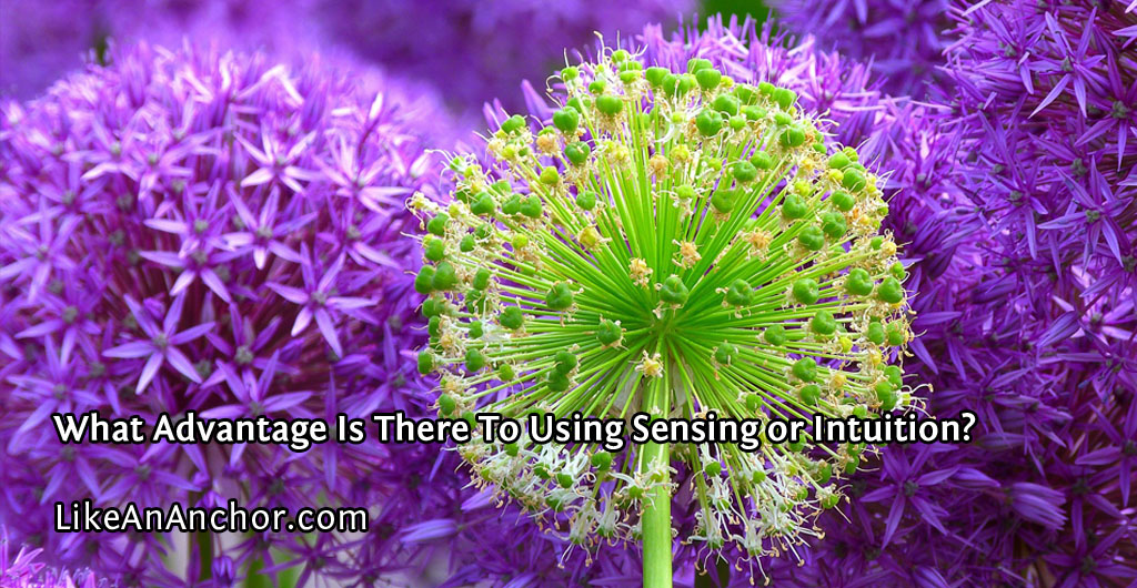 What Advantage Is There To Using Sensing Or Intuition In Myers-Briggs® Theory? | LikeAnAnchor.com