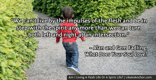 Am I Living A Flesh Life Or A Spirit Life? | LikeAnAnchor.com