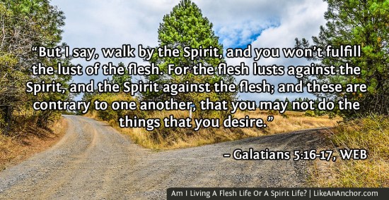 Am I Living A Flesh Life Or A Spirit Life? | LikeAnAnchor.com