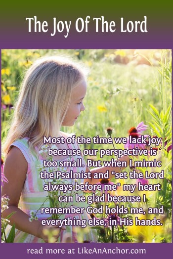 The Joy Of The Lord | LikeAnAnchor.com