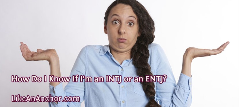 How Do I Know If I’m an INTJ or an&nbsp;ENTJ?