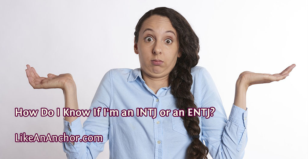 How Do I Know If I'm an INTJ or an ENTJ? | LikeAnAnchor.com