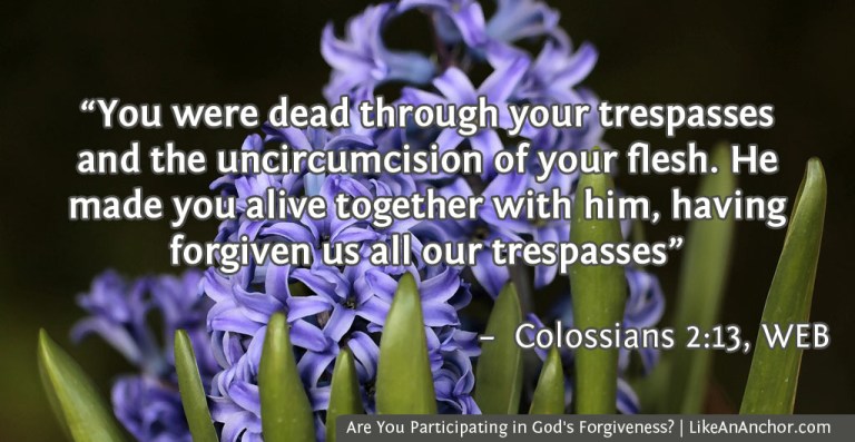 Are You Participating in God's Forgiveness? | LikeAnAnchor.com