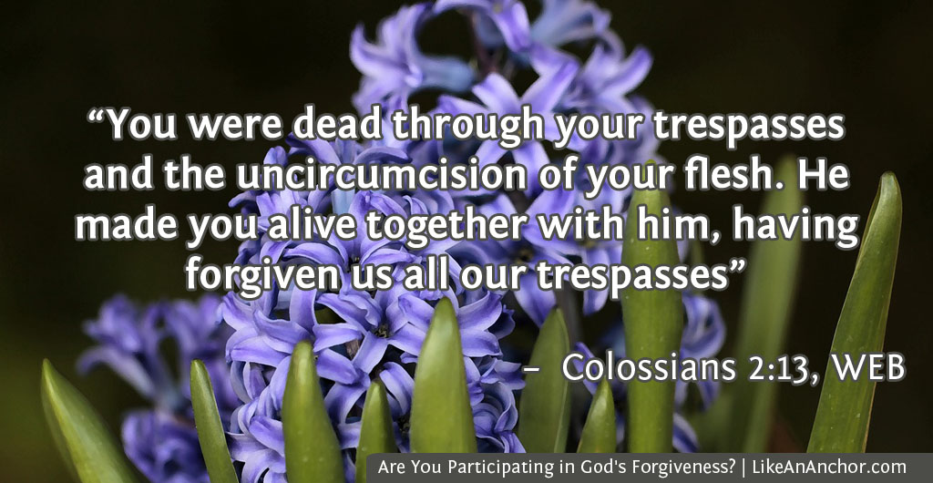 Are You Participating in God's Forgiveness? | LikeAnAnchor.com