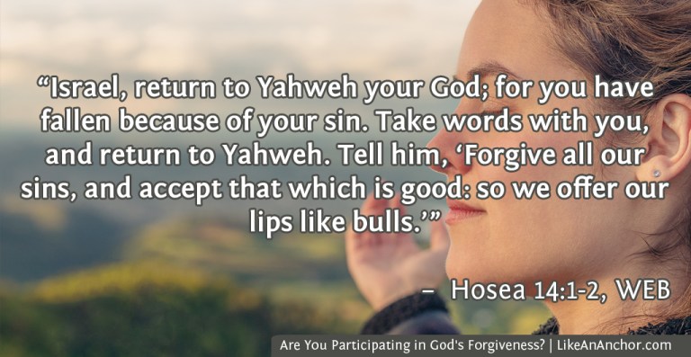 Are You Participating in God's Forgiveness? | LikeAnAnchor.com