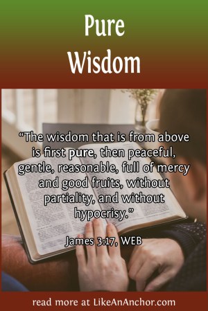 Pure Wisdom | LikeAnAnchor.com