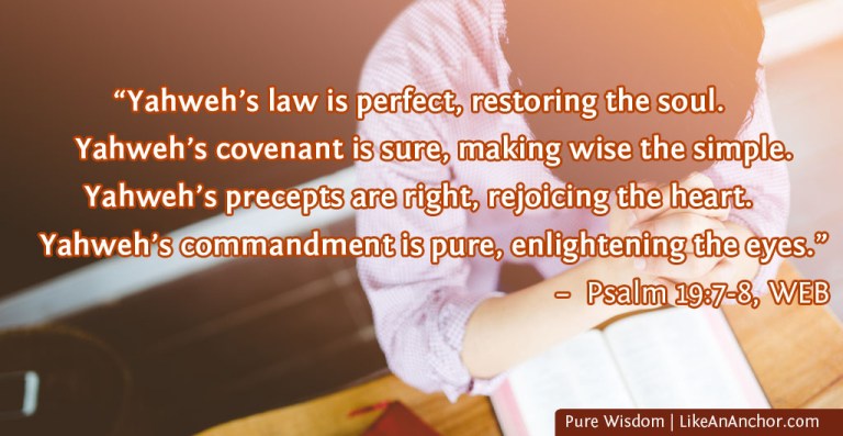 Pure Wisdom | LikeAnAnchor.com