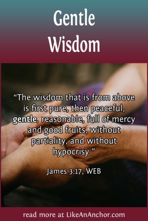 Gentle Wisdom | LikeAnAnchor.com