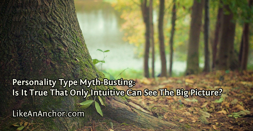 Personality Type Myth-Busting: Is It True That Only Intuitive Can See The Big Picture? | LikeAnAnchor.com