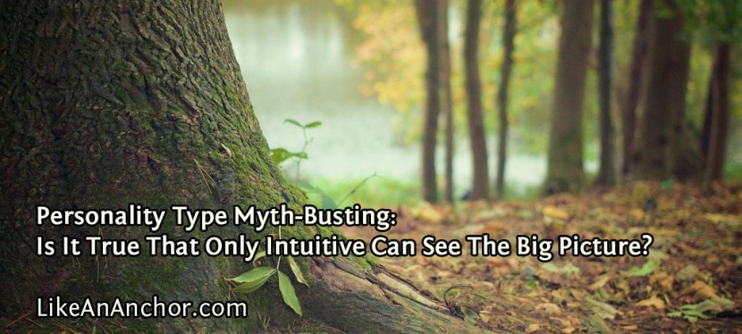 Personality Type Myth-Busting: Is It True That Only Intuitive Can See The Big Picture?