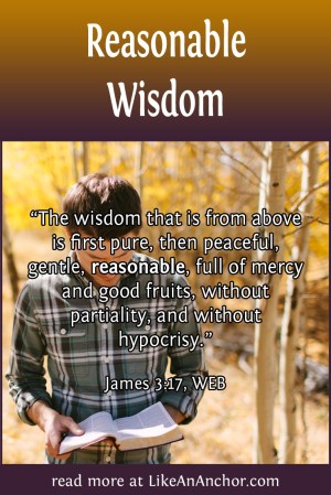 Reasonable Wisdom | LikeAnAnchor.com