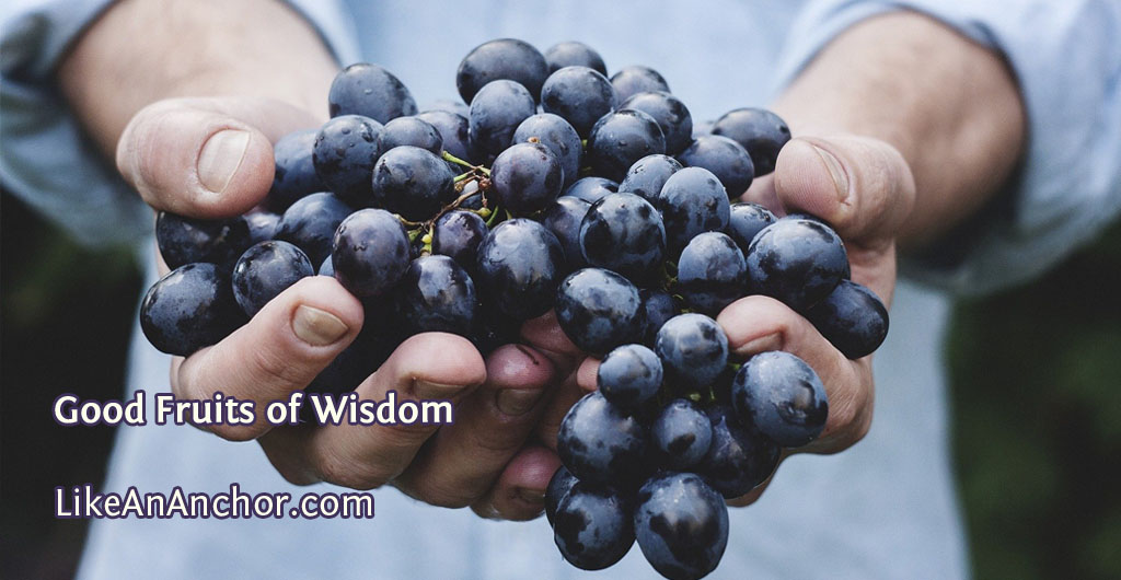 Good Fruits of Wisdom | LikeAnAnchor.com