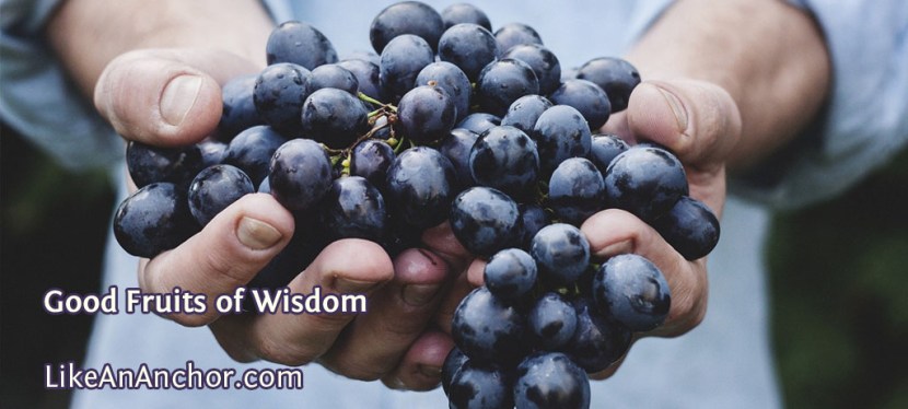 Good Fruits of Wisdom
