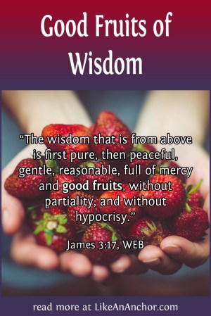 Good Fruits of Wisdom | LikeAnAnchor.com