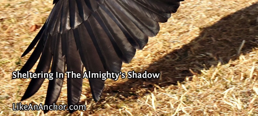 Sheltering In The Almighty’s Shadow