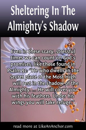 Sheltering In The Almighty's Shadow | LikeAnAnchor.com