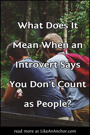 What Does It Mean When an Introvert Says You Don't Count as People? | LikeAnAnchor.com