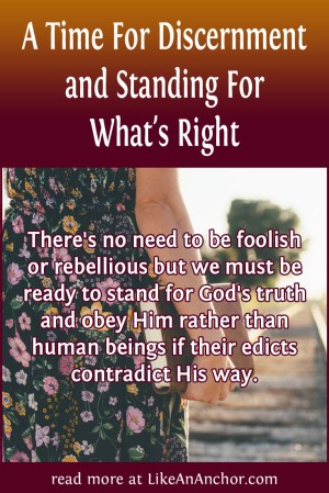 A Time For Discernment and Standing For What's Right | LikeAnAnchor.com